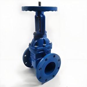 手動閘閥Z41T-16 DN50/DN65廠家直銷，上海發